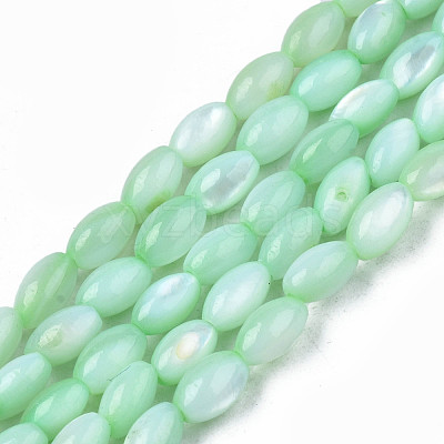 Natural Freshwater Shell Beads Strands SHEL-N003-25-B03-1