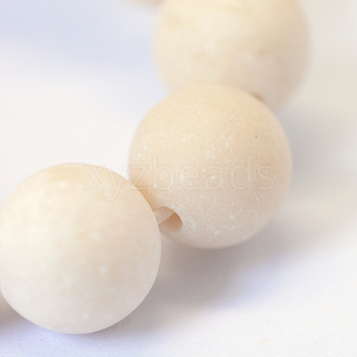 Frosted Natural Fossil Round Bead Strands G-E334-12mm-22-1