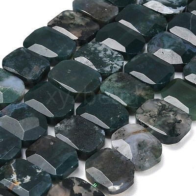 Natural Moss Agate Beads Strands G-C285-A13-01-1