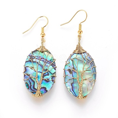 Abalone Shell/Paua Shell Dangle Earrings EJEW-L235-02G-1