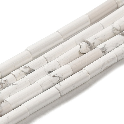 Synthetic Howlite Beads Strands G-K340-C06-01-1