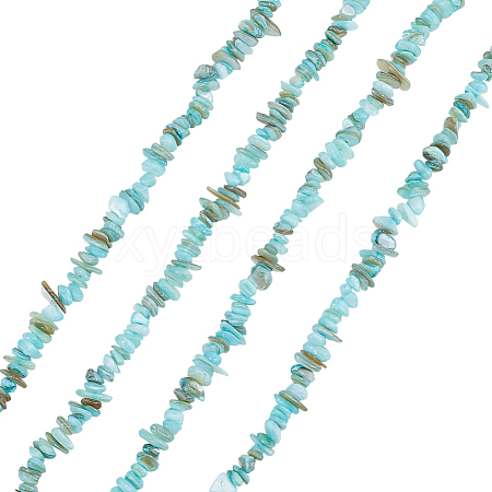Natural Freshwater Shell Beads Strands BSHE-WH0006-05B-1