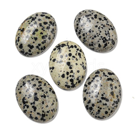 Natural Dalmatian Jasper Cabochons G-C115-01B-10-1