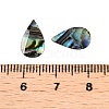 Natural Paua Shell Teardrop Cabochons SSHEL-T017-12-3