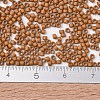 MIYUKI Delica Beads SEED-X0054-DB2287-4