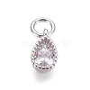 Brass Micro Pave Cubic Zirconia Charms X-ZIRC-E145-76P-1