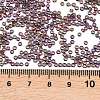 MIYUKI Round Rocailles Beads SEED-G007-RR0294-3