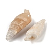 Natural Spiral Shell Beads SHEL-K009-17B-2