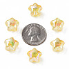 1-Hole Transparent Acrylic Buttons MACR-S373-129-C03-7