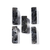 Natural Larvikite Beads LS-G-G137-01M-2