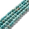 Natural Howlite Beads Strands X-G-L555-02C-02-2