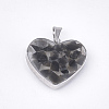 Natural Black Agate Pendants STAS-T043-01N-1