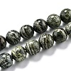 Natural Green Zebra Jasper Beads Strands G-O199-05C-1