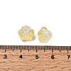 Transparent Glass Beads GLAA-D304-01E-3