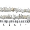 Natural Moonstone Chip Beaded Necklaces for Men Women NJEW-G159-01J-5