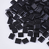 FGB 2-Hole Glass Seed Beads X-SEED-S031-L-049-1