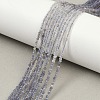 Natural Iolite Beads Strands G-F789-02-1