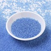 MIYUKI Round Rocailles Beads SEED-JP0008-RR0159-2