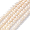 Natural Cultured Freshwater Pearl Beads Strands PEAR-I007-07L-01-2