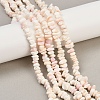 Natural Pink Shell Beads Strands X-SSHEL-L016-19-1