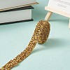 Glitter Resin Hotfix Rhinestone(Hot Melt Adhesive On The Back) OCOR-TAC0004-B-02-4