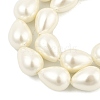 Teardrop Shell Pearl Beads Strands BSHE-XCP0001-12-3