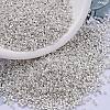 MIYUKI Delica Beads SEED-MY11-DB0551-1