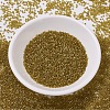 MIYUKI Delica Beads SEED-X0054-DB0909-2