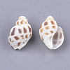 Spiral Shell Beads X-SSHEL-S258-61-2