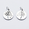 Eco-Friendly 316 Surgical Stainless Steel Micro Pave Cubic Zirconia Charms RB-I078-75P-NR-2