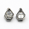 Alloy Charms ZIRC-R007-042A-01-2