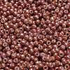 TOHO 6/0 Round Beads SEED-XTR06-1201-3