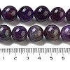 Natural Amethyst Beads Strands G-C152-01B-5