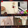   5Pcs 5 Styles Rose Flower Enamel Pins JEWB-PH0001-28-5