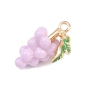 Fruit Alloy Enamel Pendants LS-ENAM-P264-02G-G04-3