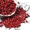 Baking Paint Glass Seed Beads X1-SEED-A032-02A-09-1
