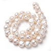 Natural Cultured Freshwater Pearl Beads Strands PEAR-L033-49-01A-3