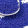 8/0 Baking Paint Glass Seed Beads SEED-M012-02A-54-1