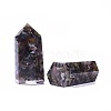 Orgone Obelisk Jumbo DJEW-L014-A06-1