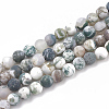 Natural Tree Agate Beads Strands G-T106-038-1