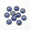 Natural Blue Spot Jasper Cabochons G-R416-16mm-45-1