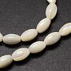 Natural Trochid Shell/Trochus Shell Beads Strands SSHEL-K008-06-3