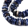 Natural Sodalite Beads Strands G-T141-08-4