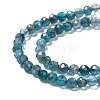 Natural Apatite Beads Strands G-K185-02-3mm-01-1