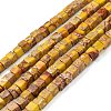 Natural Imperial Jasper Beads Strands G-I248-02L-A-1