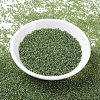 MIYUKI Round Rocailles Beads SEED-G007-RR0375-2
