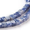 Natural Blue Spot Jasper Beads Strands G-F631-K06-3