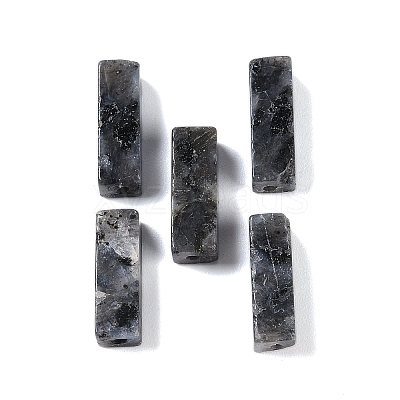 Natural Larvikite Beads LS-G-G137-01M-1