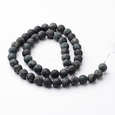 Frosted Round Natural Kambaba Jasper Bead Strands G-J346-30-8mm-1