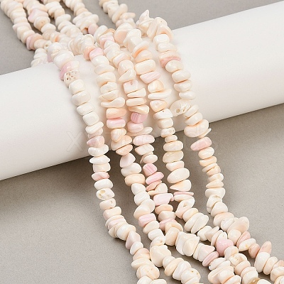 Natural Pink Shell Beads Strands X-SSHEL-L016-19-1